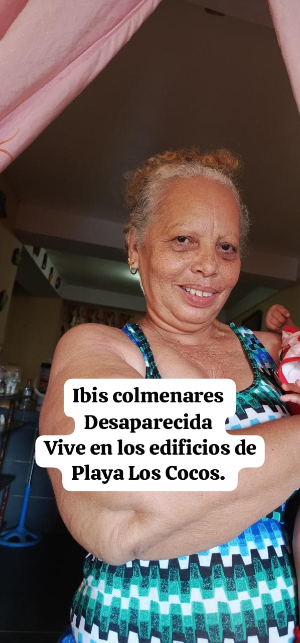 Ibis Colmenares