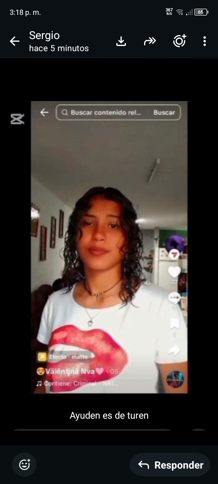 Silvana valentína Navea Pichardo