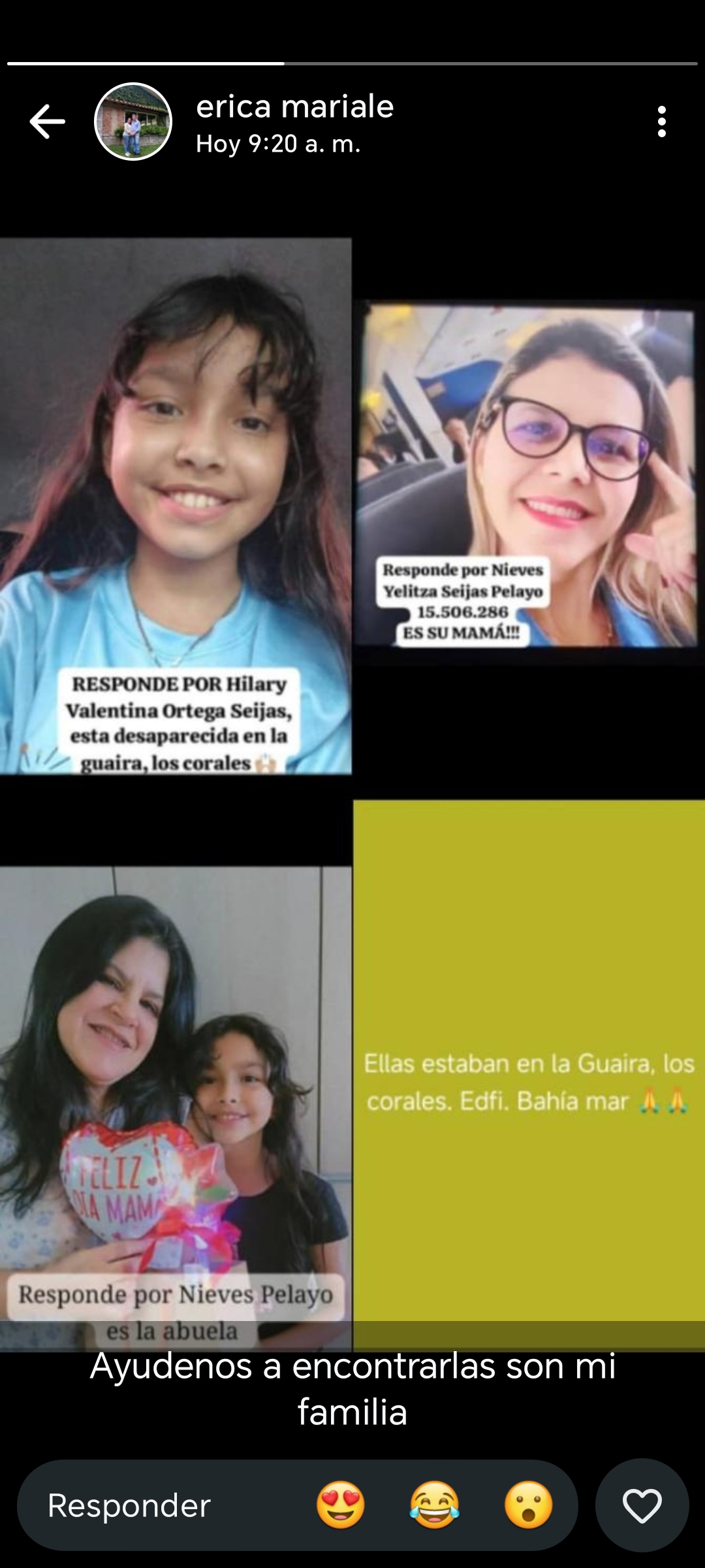 Nieves jelitza Seijas Pelayo