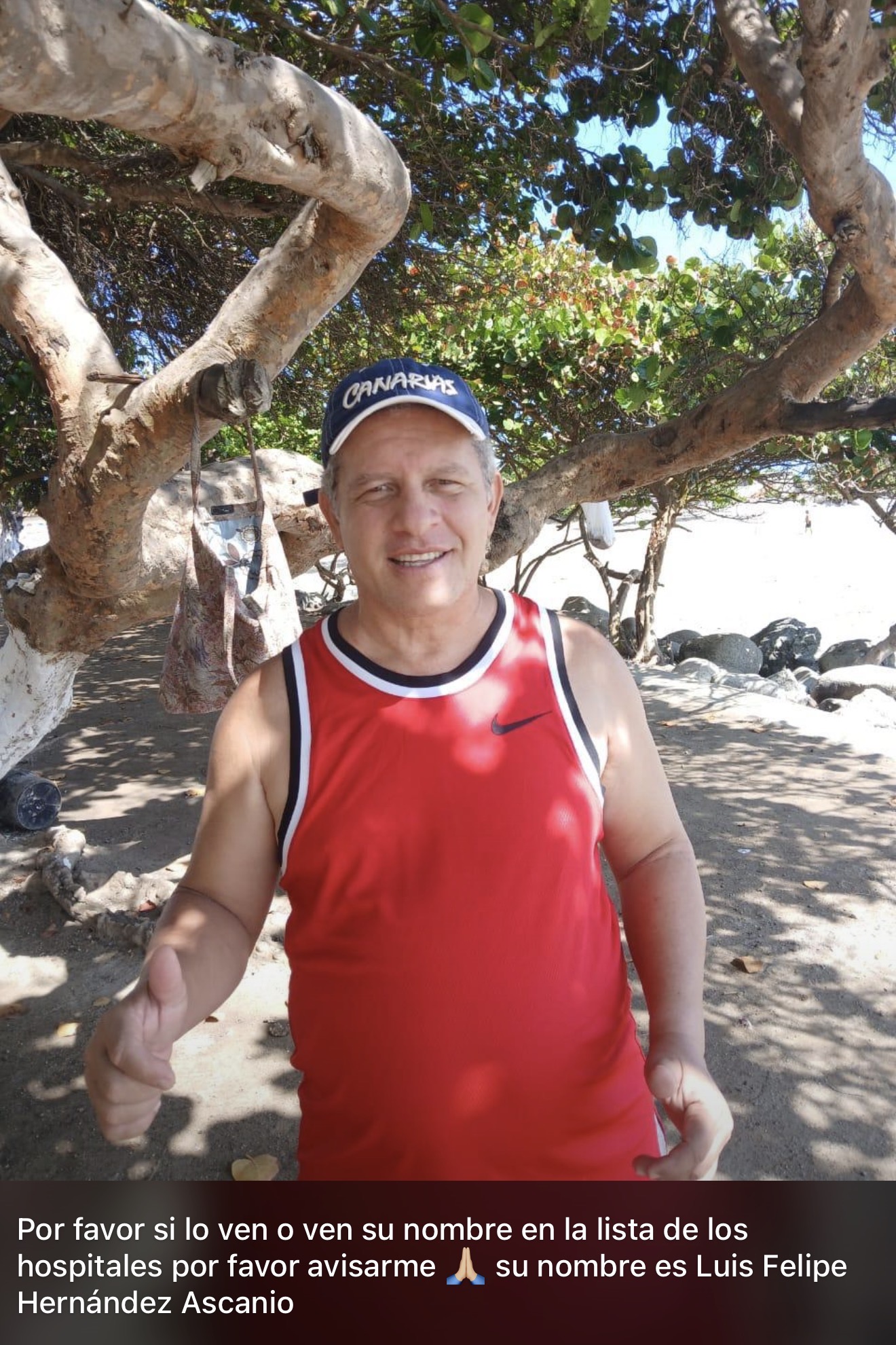 Luis Felipe Hernández Medina