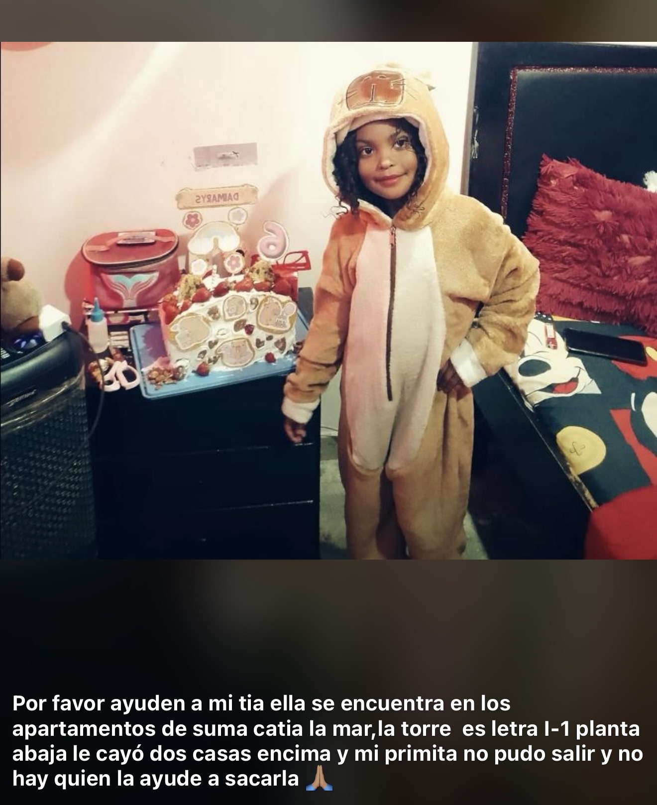 Dhaimarys Nazaret Ruiz Díaz Ugueto