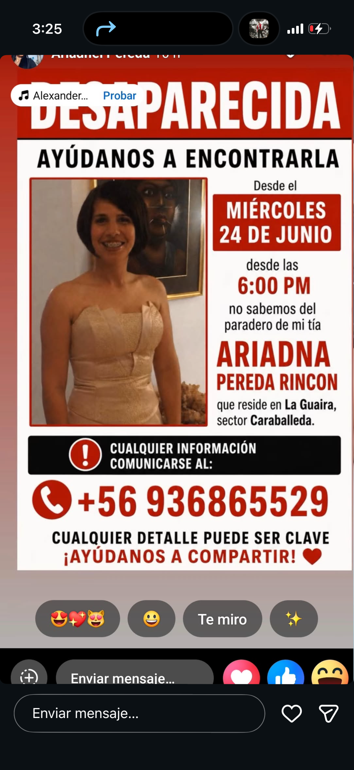 Ariadna Pereda rincón