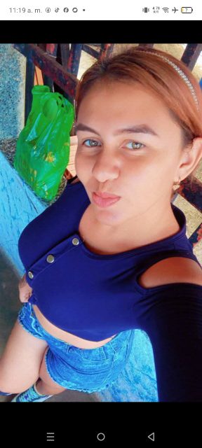 Roselis torres