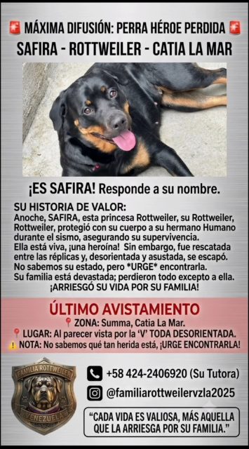 Safira Rottweiler