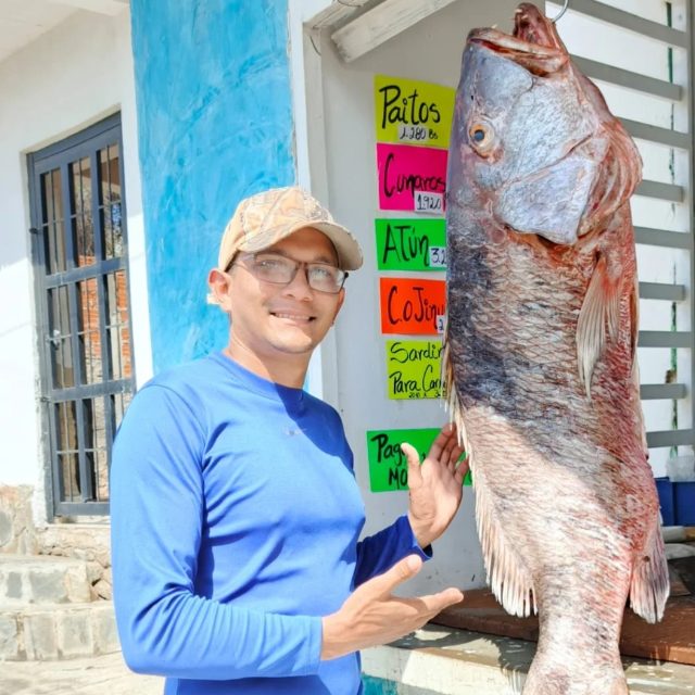 JOSE ANDRES VILLAROEL APONTE