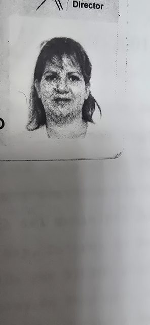 Dámelis piñango
