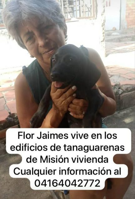 Flor jaimes