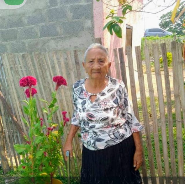 Justa González de castro