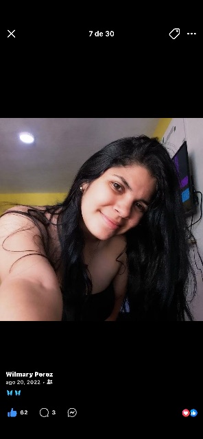 Wilmary perez