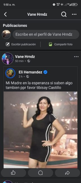 Tibisay castillo