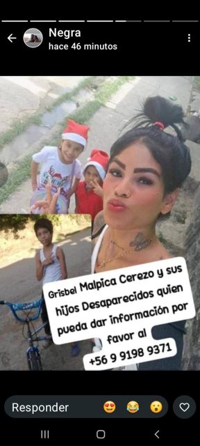 Gribel malpica cerezo