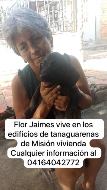 Flor Elba Jaimes