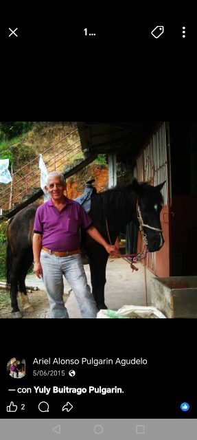 Alonso Pulgarin agudelo