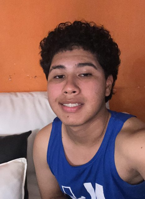 Mervin jose manzano