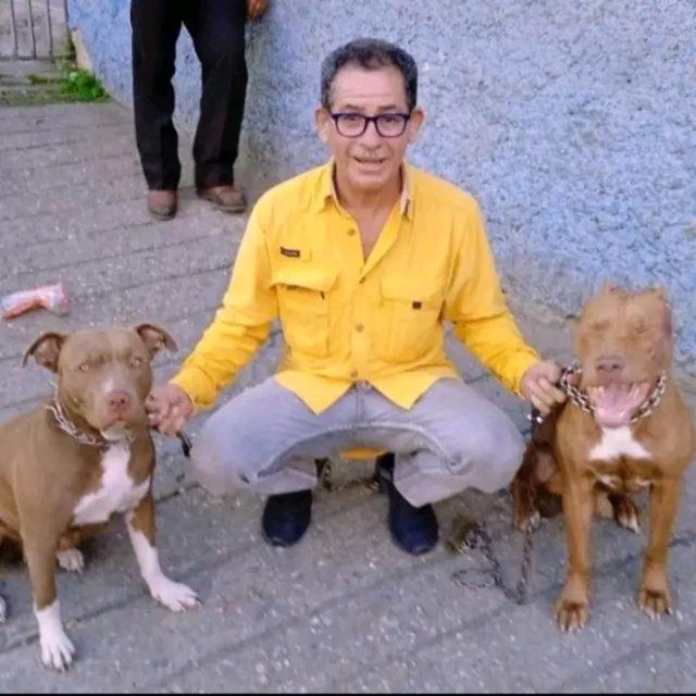 Gregorio Rafael Gutiérrez veliz