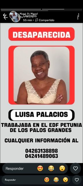 Luisa palacio