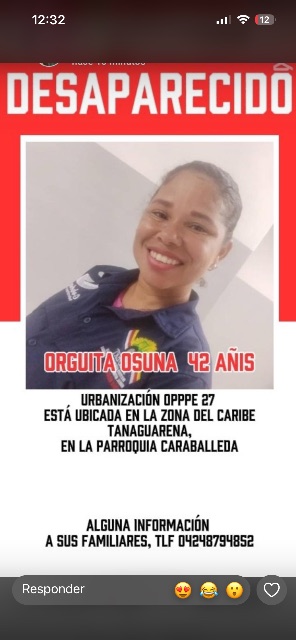 Orguita