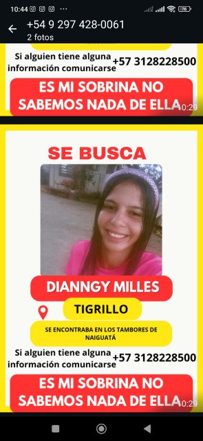 Dianny milles