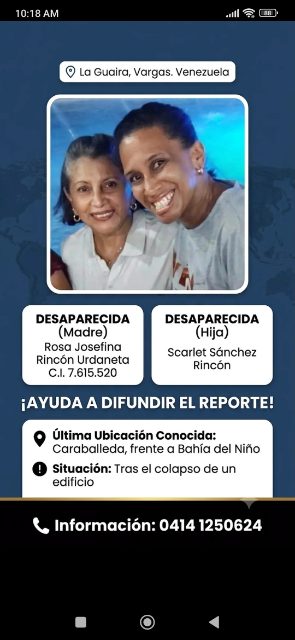 Rosa rincon