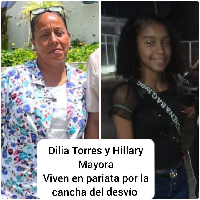 Dilia Torres