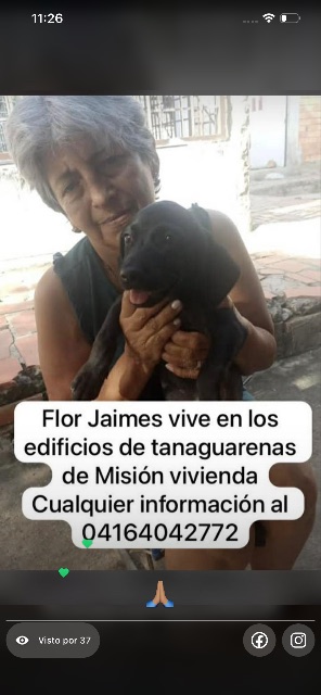Flor Jaime