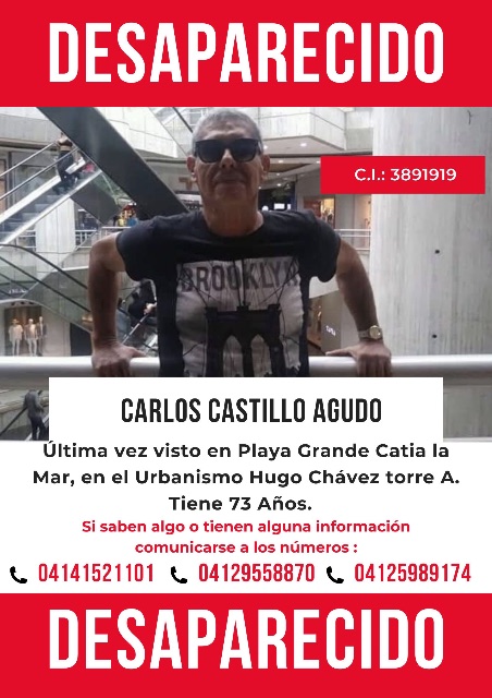Carlos Luis Castillo Agudo