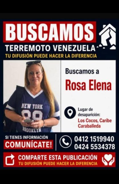 Rosa elena