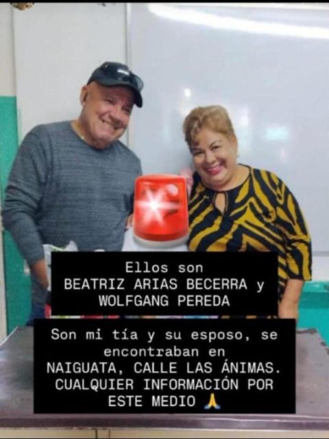 Wolfang pereda